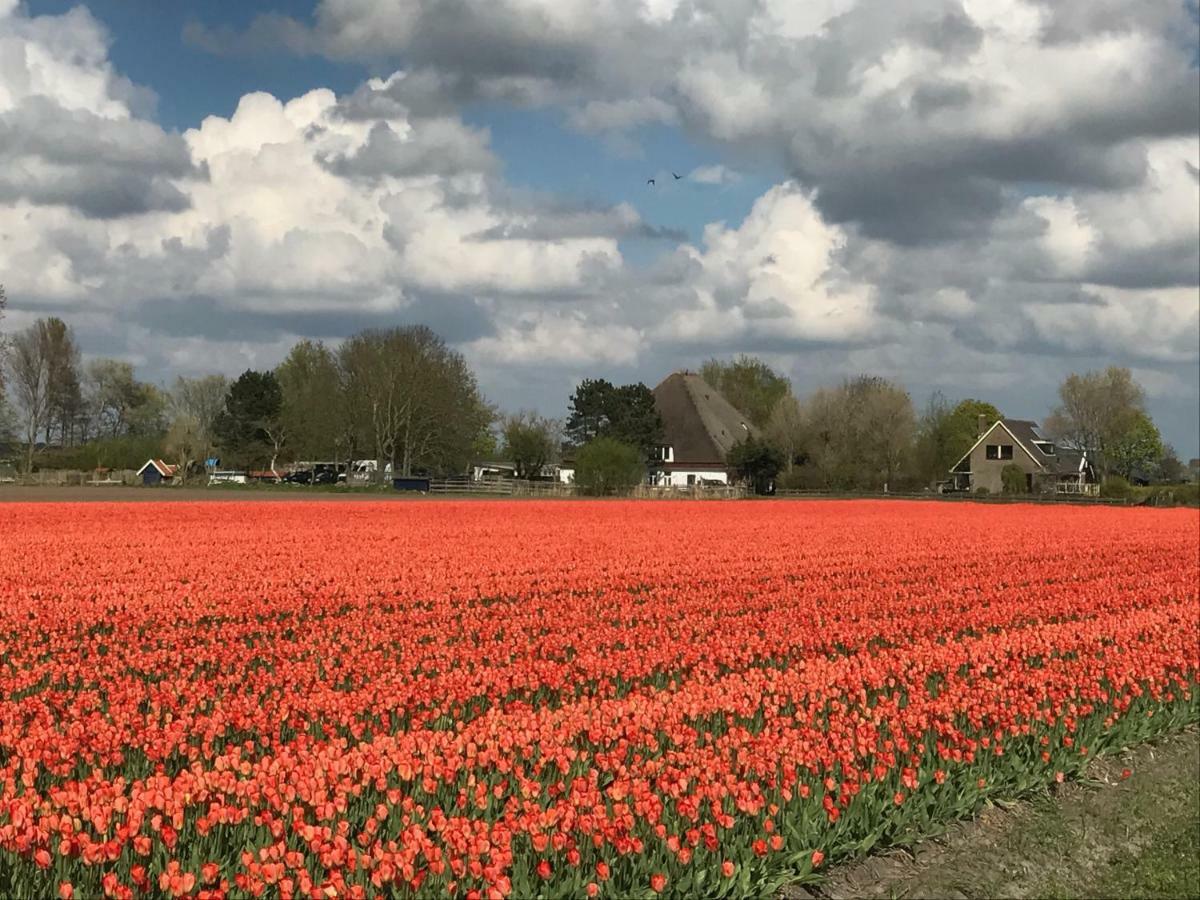 Appartementen De Strandloper Bergen aan Zee Exterior foto